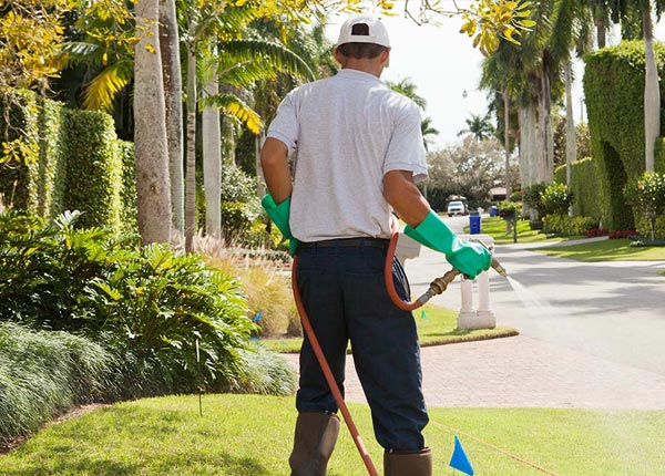 About Waverly NE Pest Control Pros